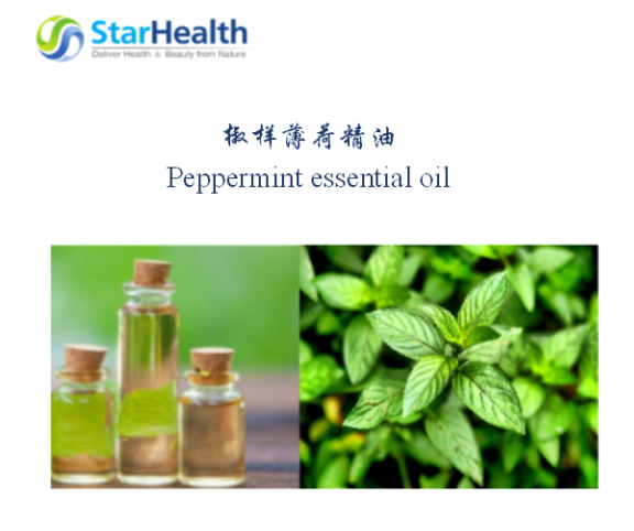 椒样薄荷精油 - Peppermint essential oil