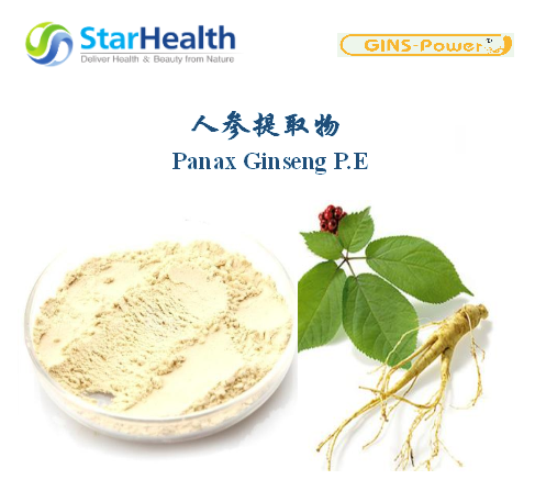 人参提取物 - Panax Ginseng P.E